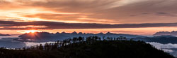 Pano test